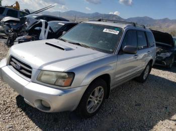  Salvage Subaru Forester