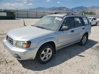  Salvage Subaru Forester