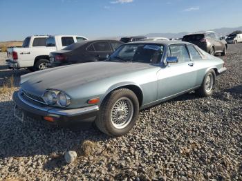  Salvage Jaguar Xjs