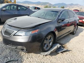  Salvage Acura TL