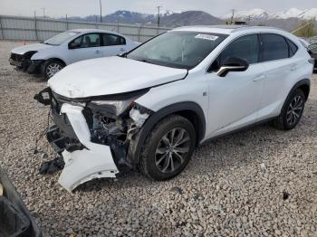  Salvage Lexus NX