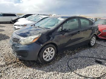  Salvage Kia Rio