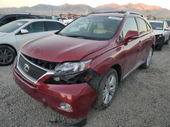  Salvage Lexus RX