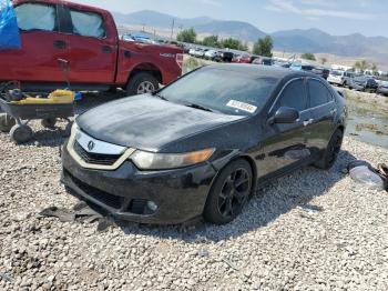  Salvage Acura TSX