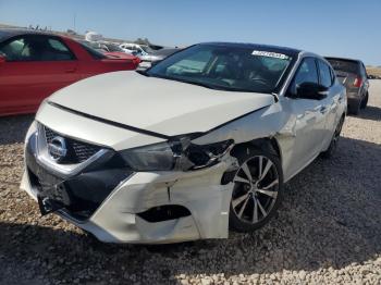  Salvage Nissan Maxima