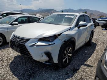  Salvage Lexus NX