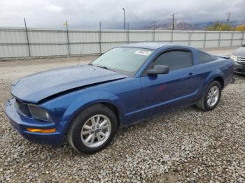  Salvage Ford Mustang