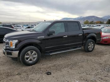  Salvage Ford F-150