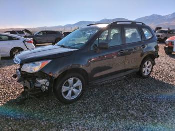  Salvage Subaru Forester