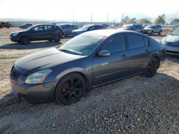  Salvage Nissan Maxima