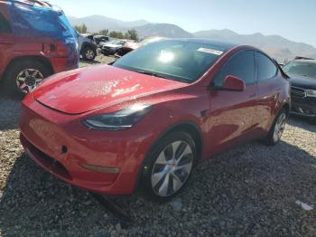  Salvage Tesla Model Y