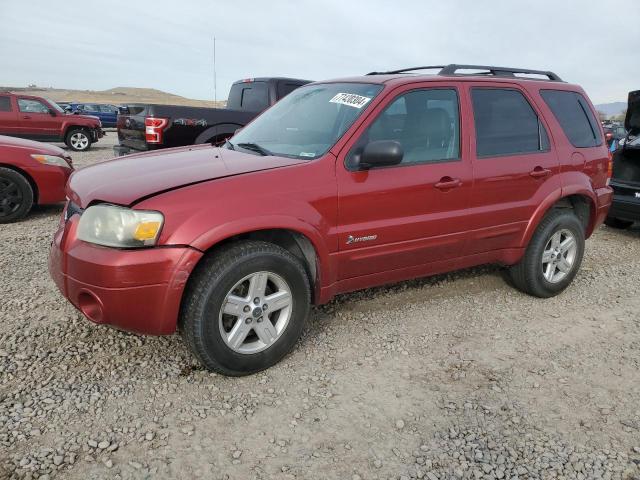  Salvage Ford Escape