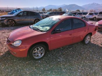  Salvage Dodge Neon