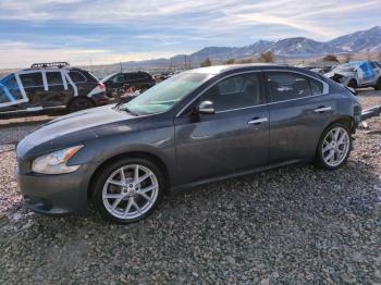  Salvage Nissan Maxima