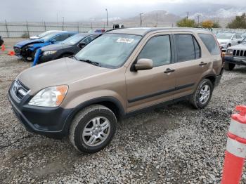  Salvage Honda Crv