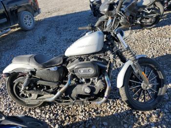  Salvage Harley-Davidson Xl883 N