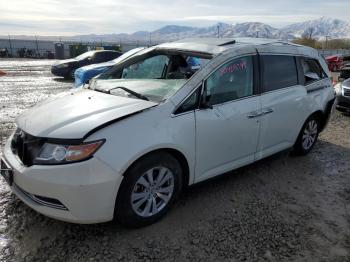  Salvage Honda Odyssey