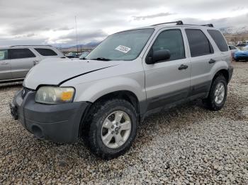  Salvage Ford Escape