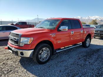  Salvage Ford F-150