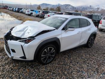  Salvage Lexus Ux