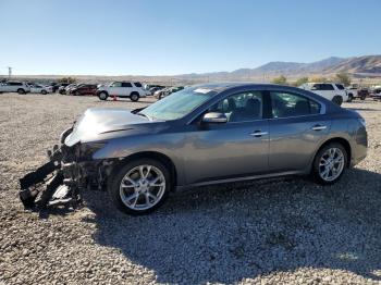  Salvage Nissan Maxima