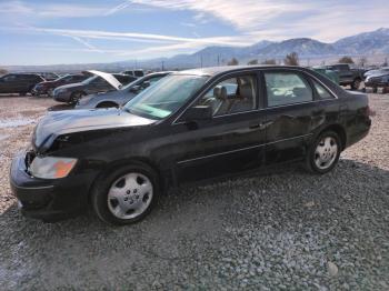  Salvage Toyota Avalon