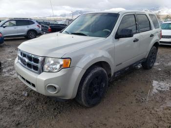  Salvage Ford Escape