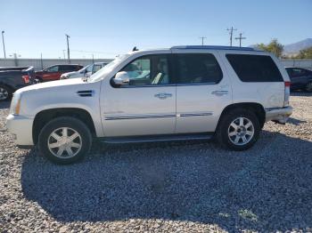  Salvage Cadillac Escalade