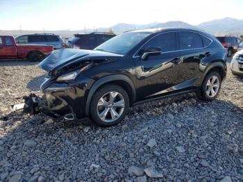  Salvage Lexus NX