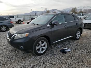  Salvage Lexus RX