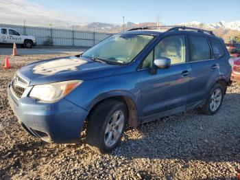  Salvage Subaru Forester