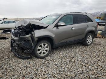  Salvage Kia Sorento