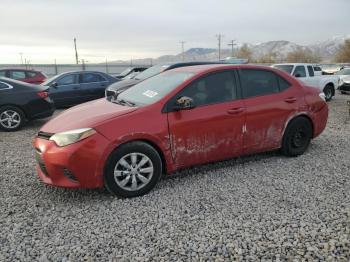  Salvage Toyota Corolla