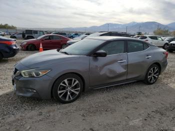  Salvage Nissan Maxima