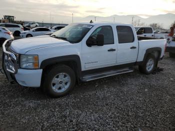  Salvage Chevrolet Silverado