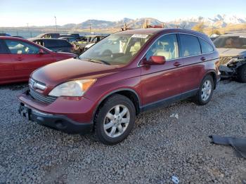  Salvage Honda Crv