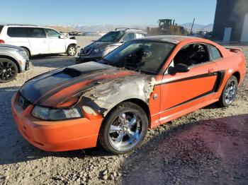  Salvage Ford Mustang