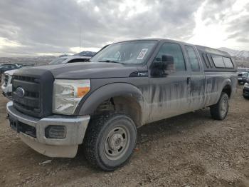  Salvage Ford F-250