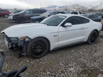  Salvage Ford Mustang