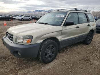  Salvage Subaru Forester