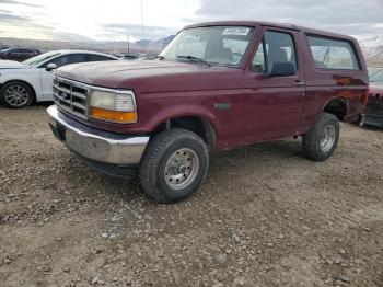  Salvage Ford Bronco