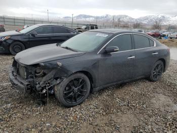  Salvage Nissan Maxima