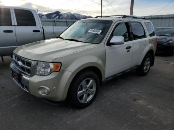  Salvage Ford Escape