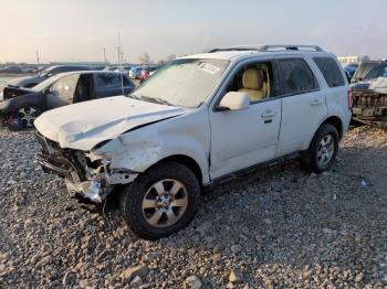  Salvage Ford Escape