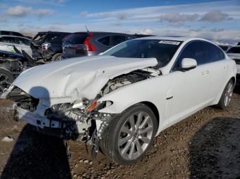  Salvage Jaguar XF