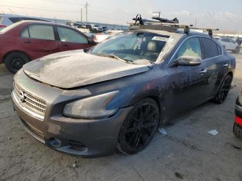  Salvage Nissan Maxima