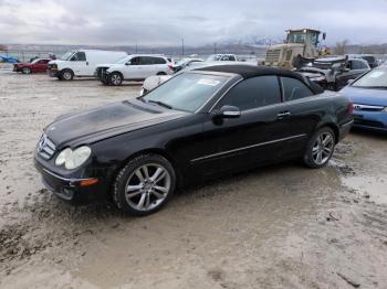  Salvage Mercedes-Benz Clk-class