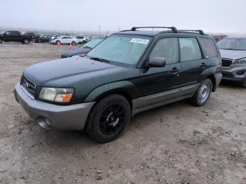  Salvage Subaru Forester