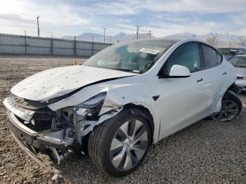  Salvage Tesla Model Y