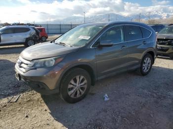  Salvage Honda Crv